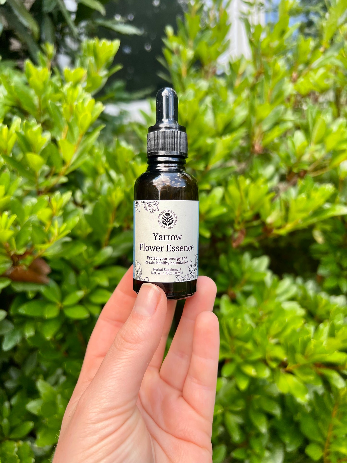 Yarrow Flower Essence Protect Your Energy